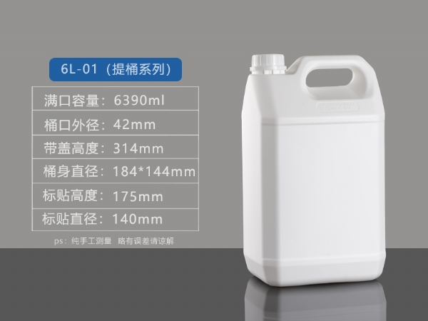 6L-01